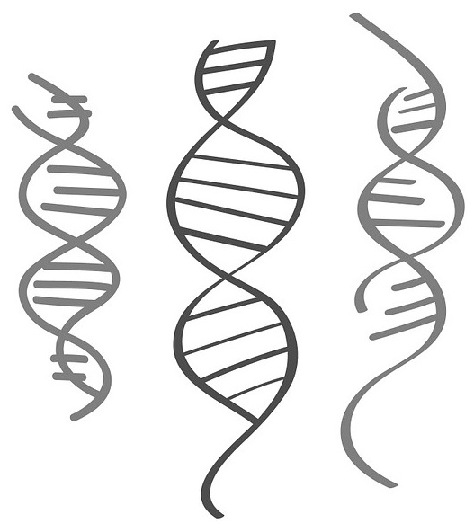 DNA